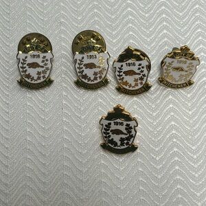 Enamel lapel pins from the city of Kitchener Ontario. Five in one bundle